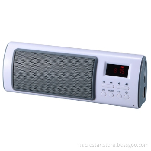 Portable Speaker Mini Speaker with FM Radio